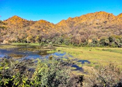 trekking in udaipur kumbhalgarh,rajsamand