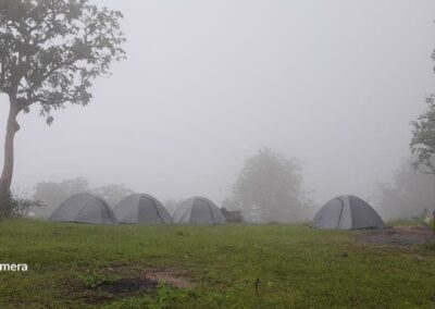 camping in jungle