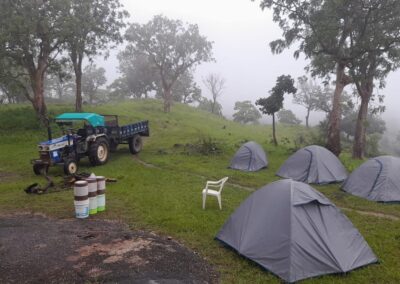 happy bear forest camping