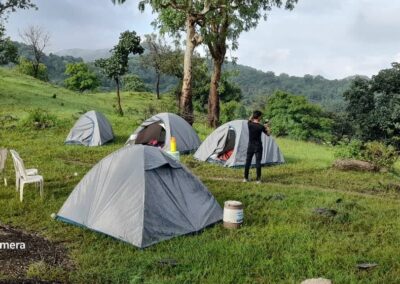 jungle campsite