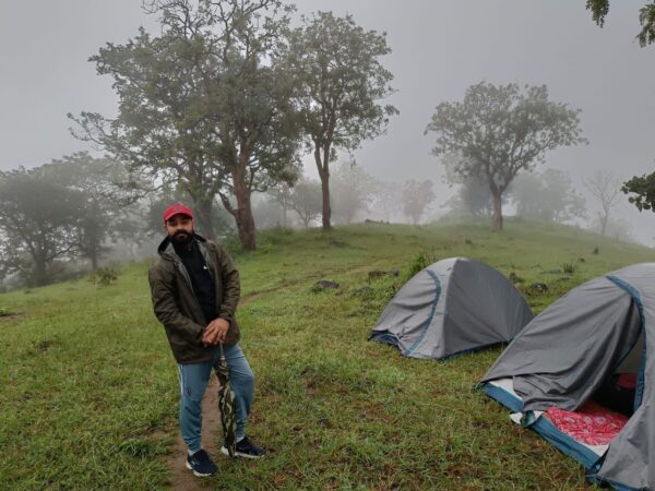 happy bear forest camping